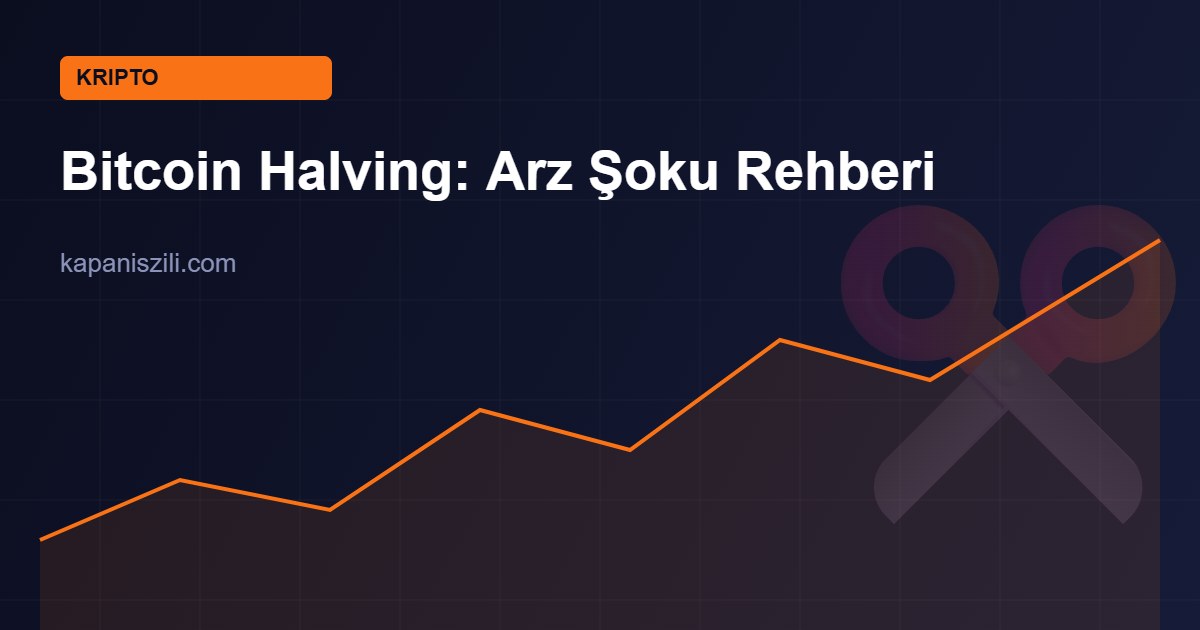 bitcoin halving