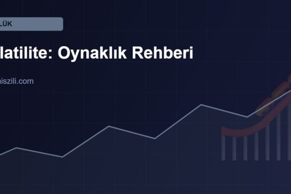 volatilite nedir